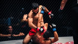 Arti marziali esterne MMA